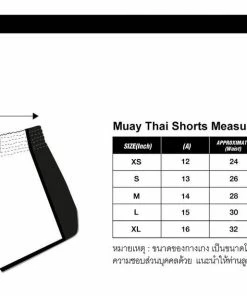 Fairtex Muay Thai Shorts BS1713 Tribal Tan/Blue