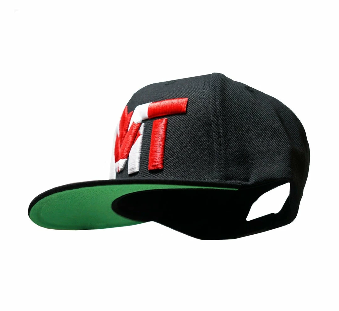 TMT The Money Team Canada Snapback Hat Cap 3 TMT The Money Team Canada Snapback Hat Cap